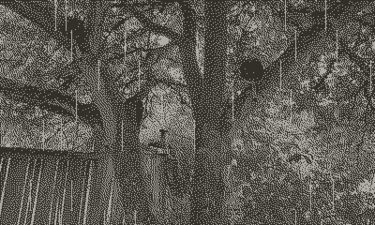 Backyard Rain Soundscape