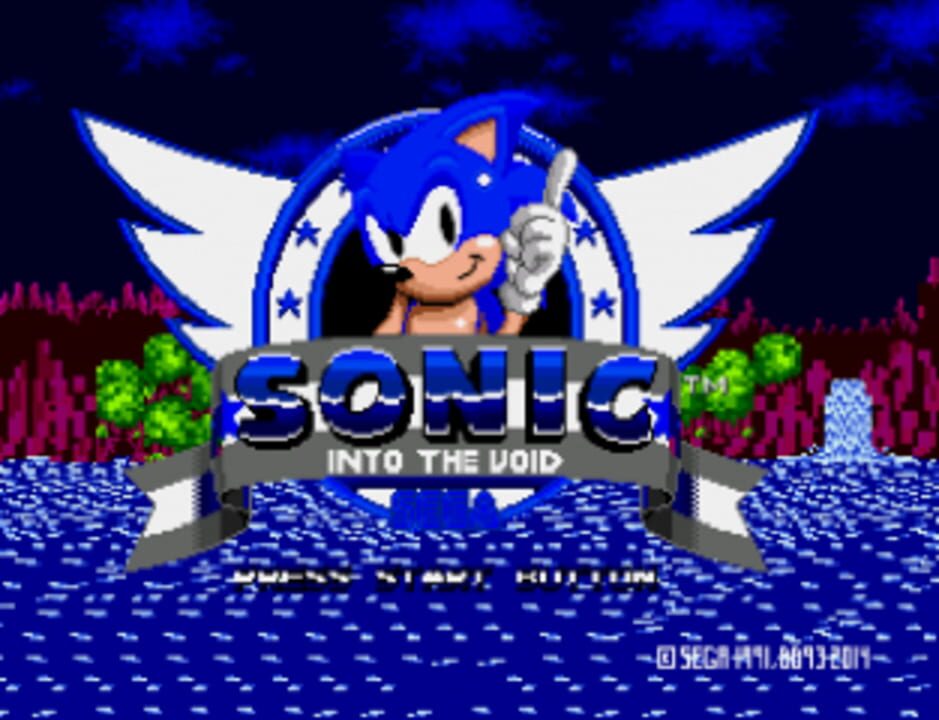 Sonic: Into the Void