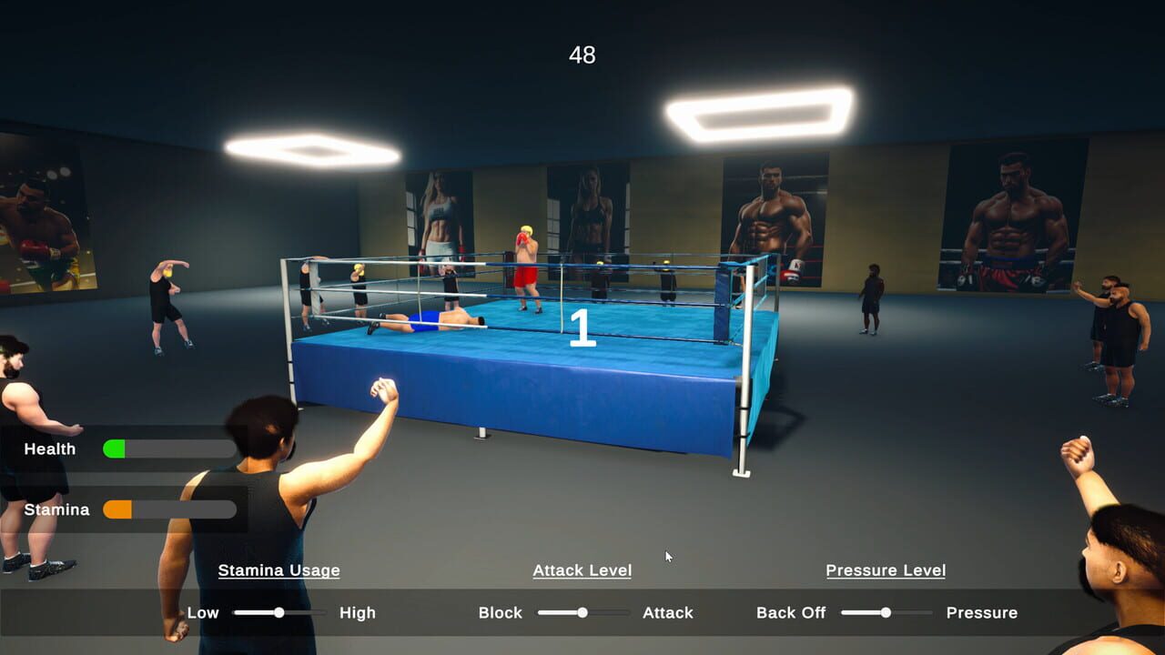 Boxing Simulator