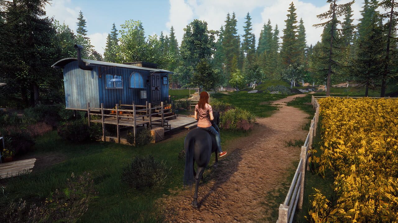 Windstorm: Double Pack