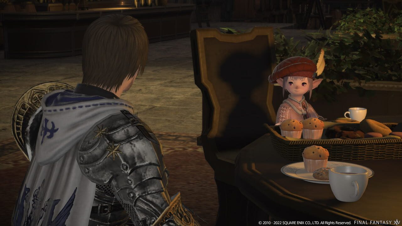 Final Fantasy XIV: Newfound Adventure