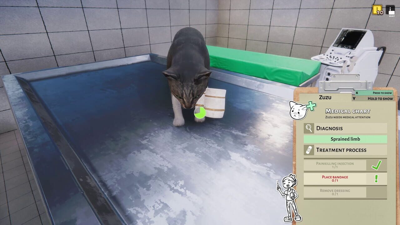 Animal Shelter: Vet Clinic