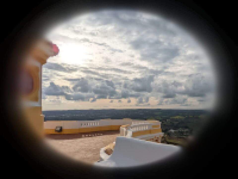 Kitten Milk Replacer