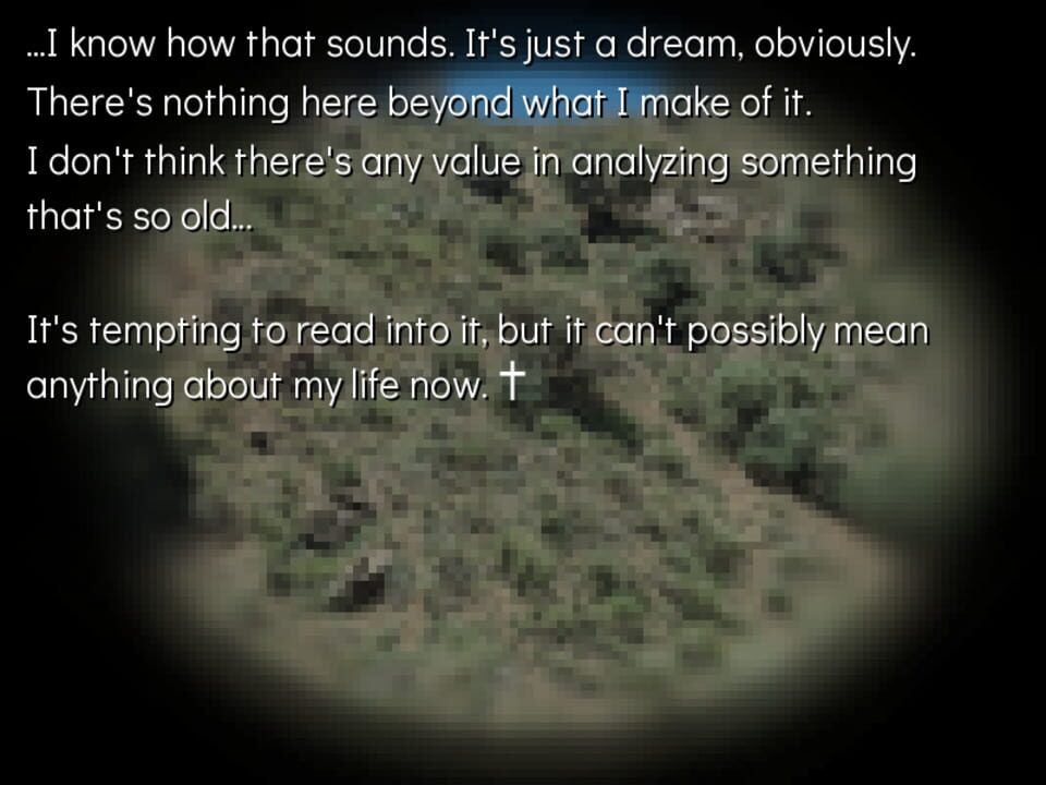 Kitten Milk Replacer