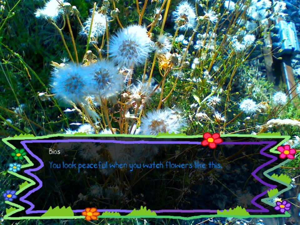 Tomorrow is my Birthday