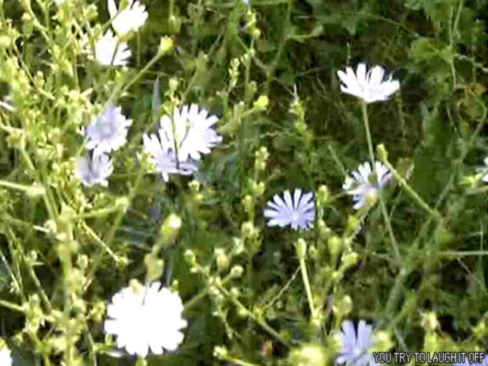 Tomorrow is my Birthday