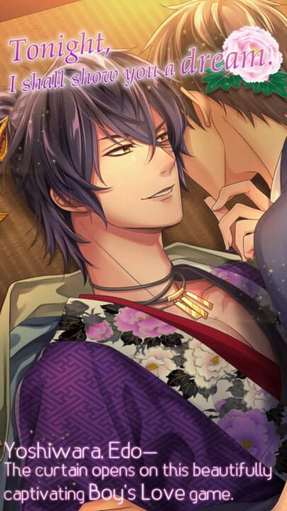 Ephemeral Dreams, Eternal Love