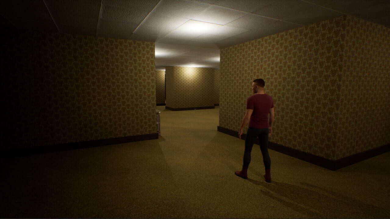 Deja Vu: The Backrooms