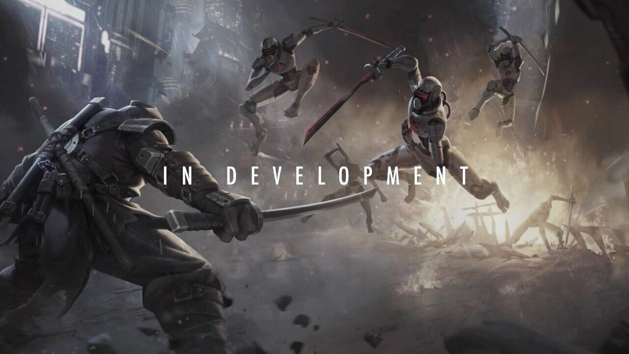 Teenage Mutant Ninja Turtles: The Last Ronin