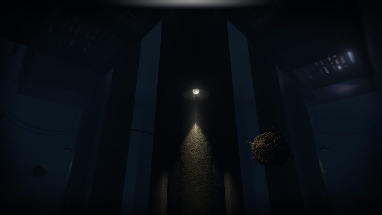 Akui: The Insane Cultists
