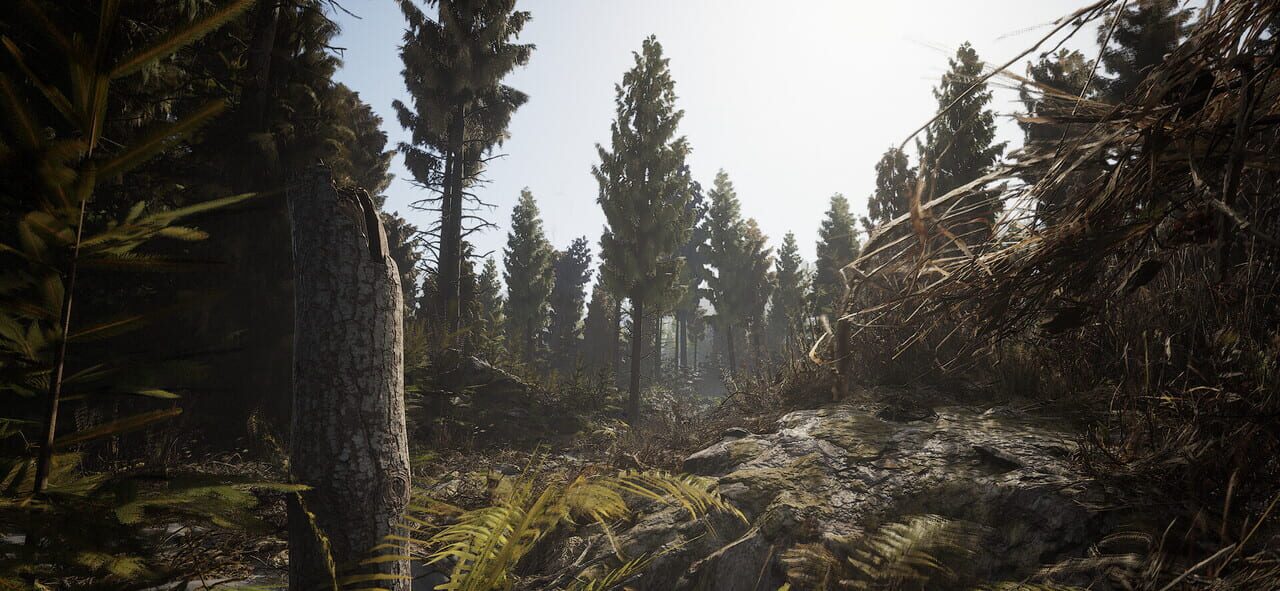 The Great Hunt