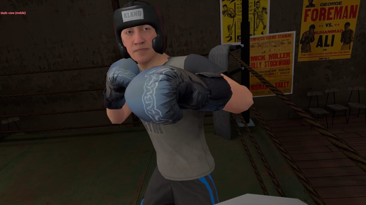 True Boxing VR