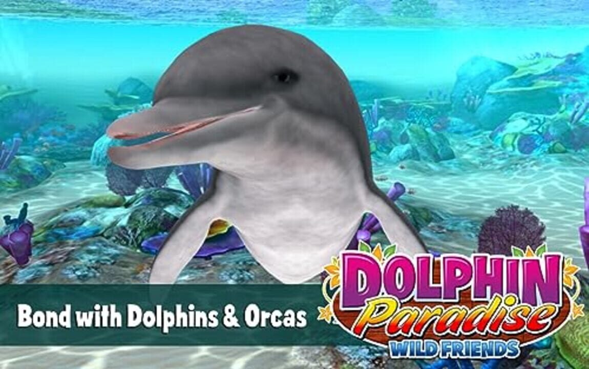 Dolphin Paradise: Wild Friends