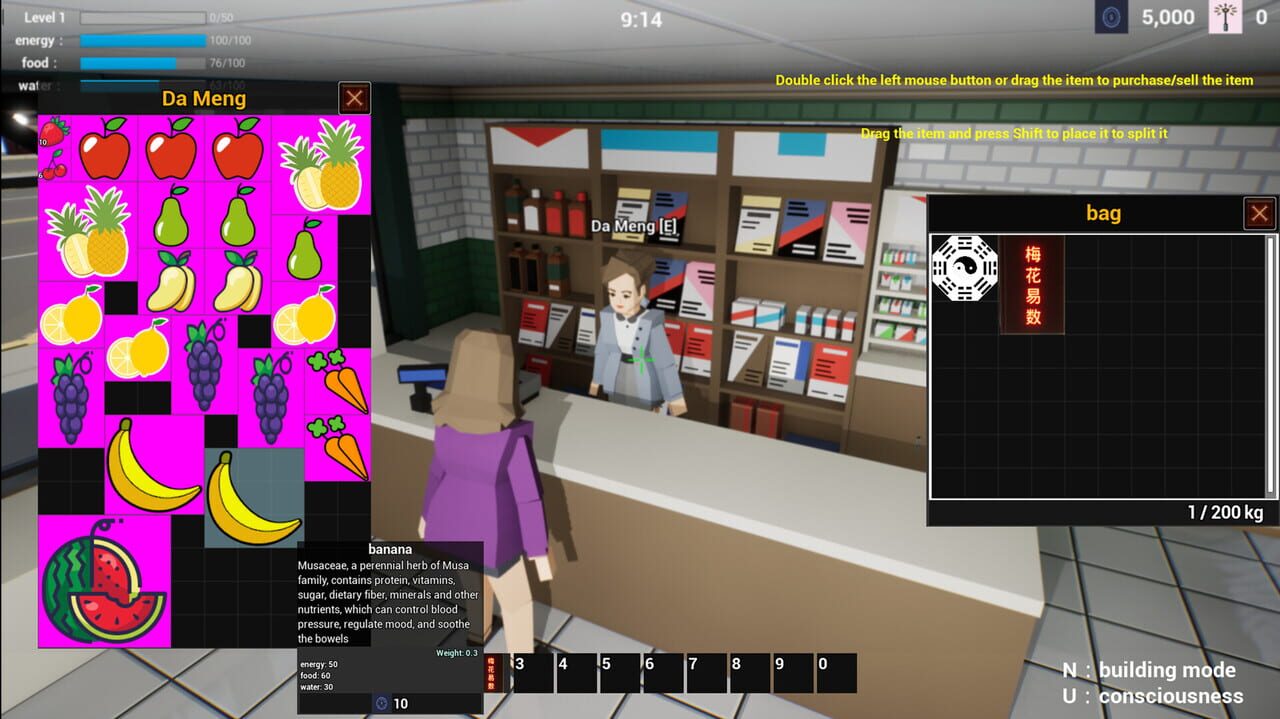 Plum Blossom Divination