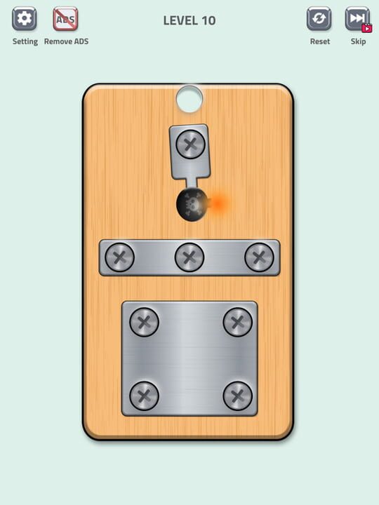 Nuts & Bolts Puzzle