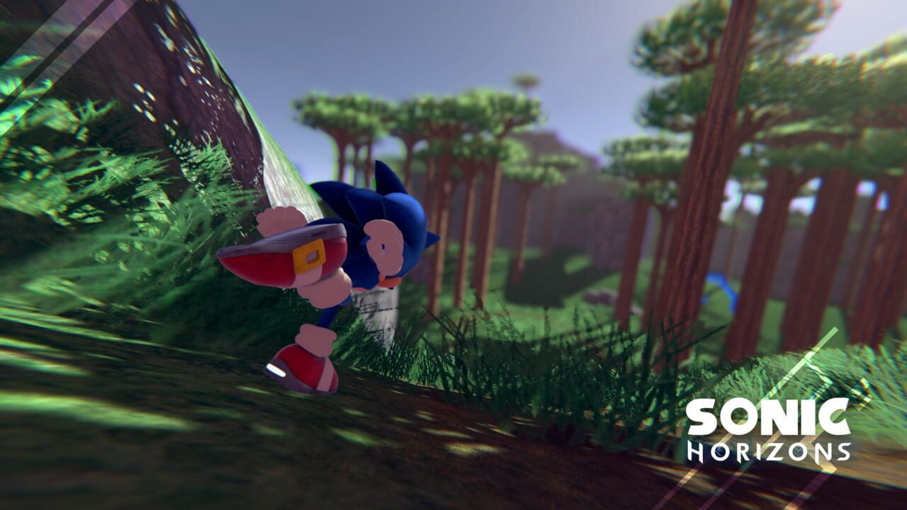 Sonic Horizons