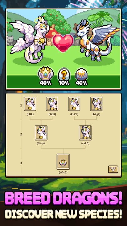 Dragon Village Collection