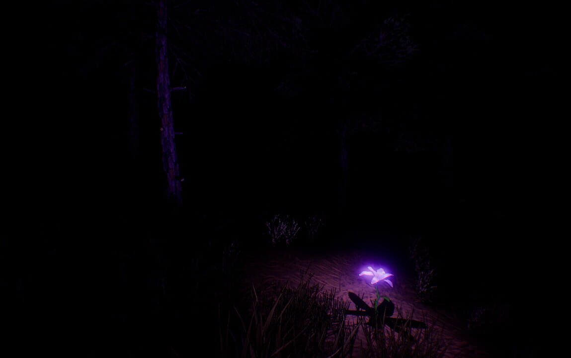 Tale of the Shadow World