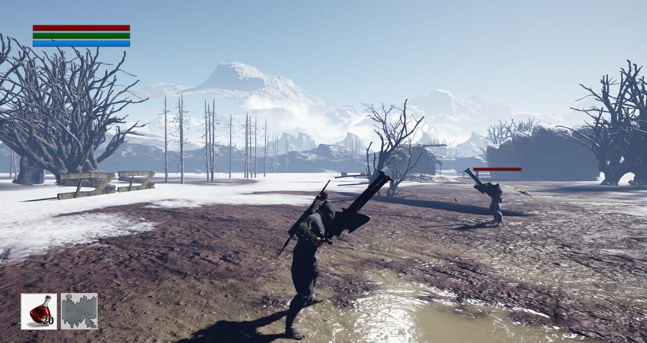 Fallen Ninja