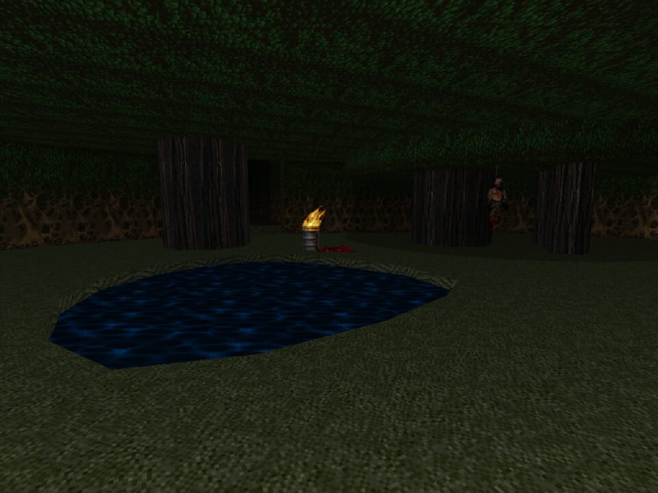 Deadly Secret Beneath the Dark Wood