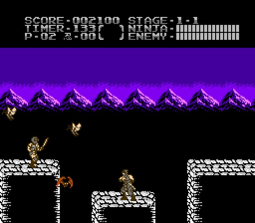 Ninja Gaiden: Dragon Scroll
