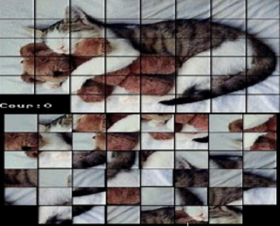 Sliding Puzzles