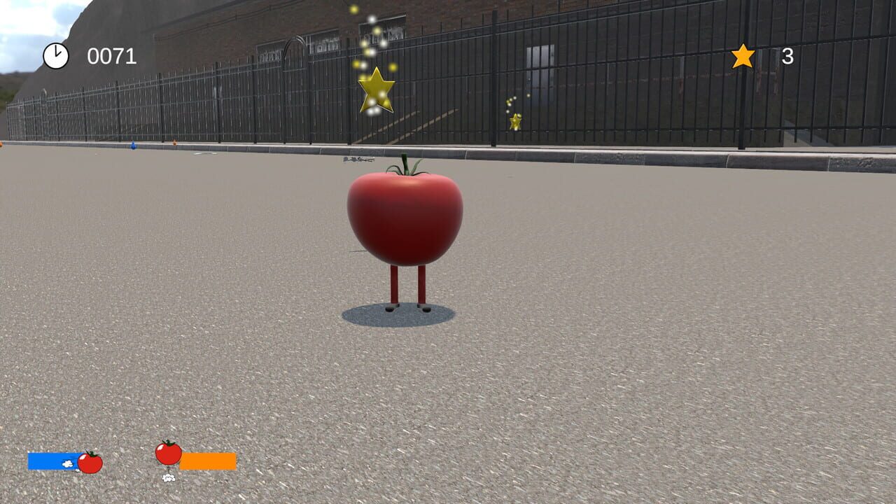 Chunky Tomato