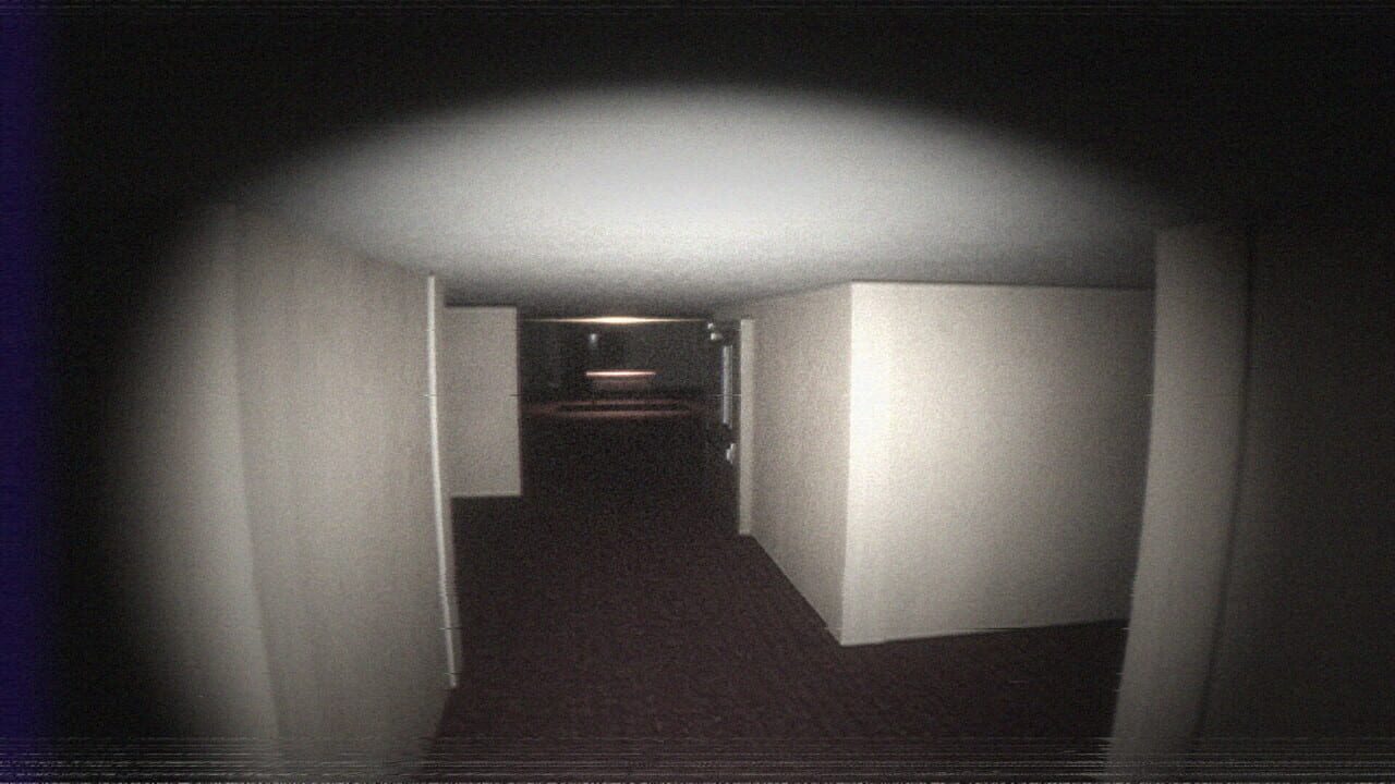 Silkbulb Test
