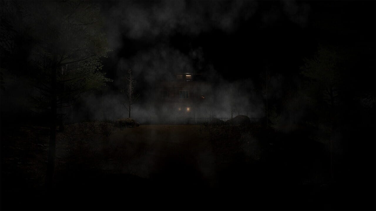 Y. Village: The Visitors