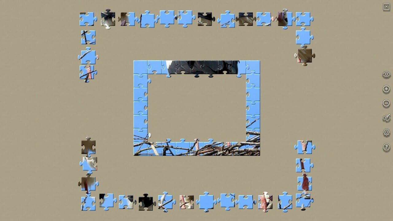 House of Jigsaw: Amazing Birds