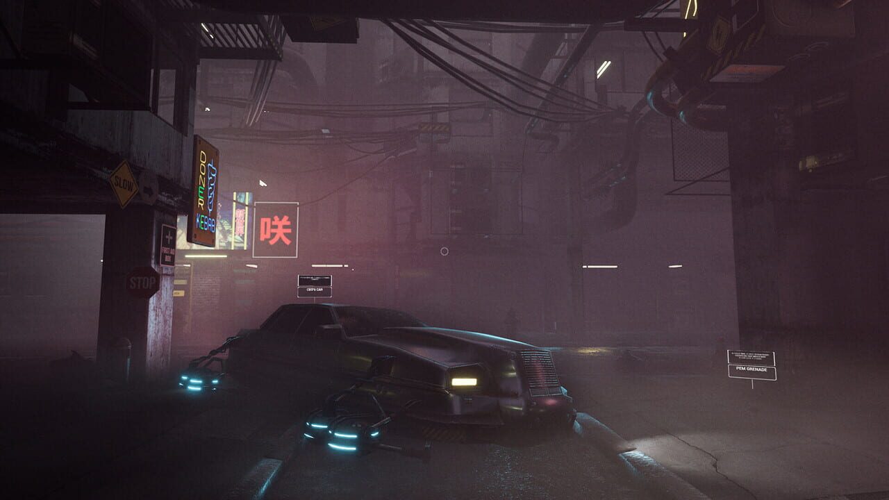 Detective: Minerva Case