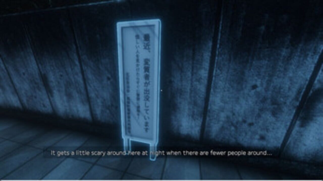Suspicious Person Information