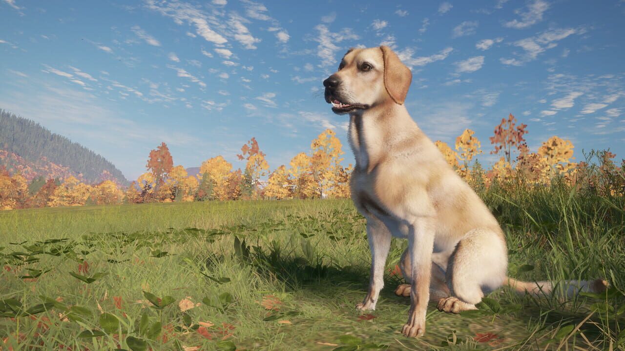 TheHunter: Call of the Wild – Labrador Retriever