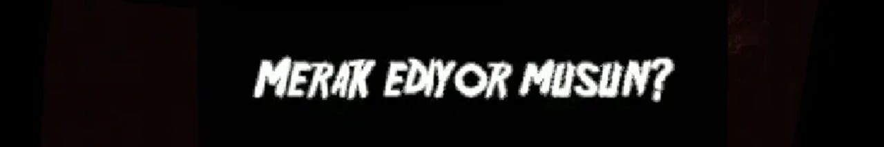 5 Nights at Hoax Freddy’s