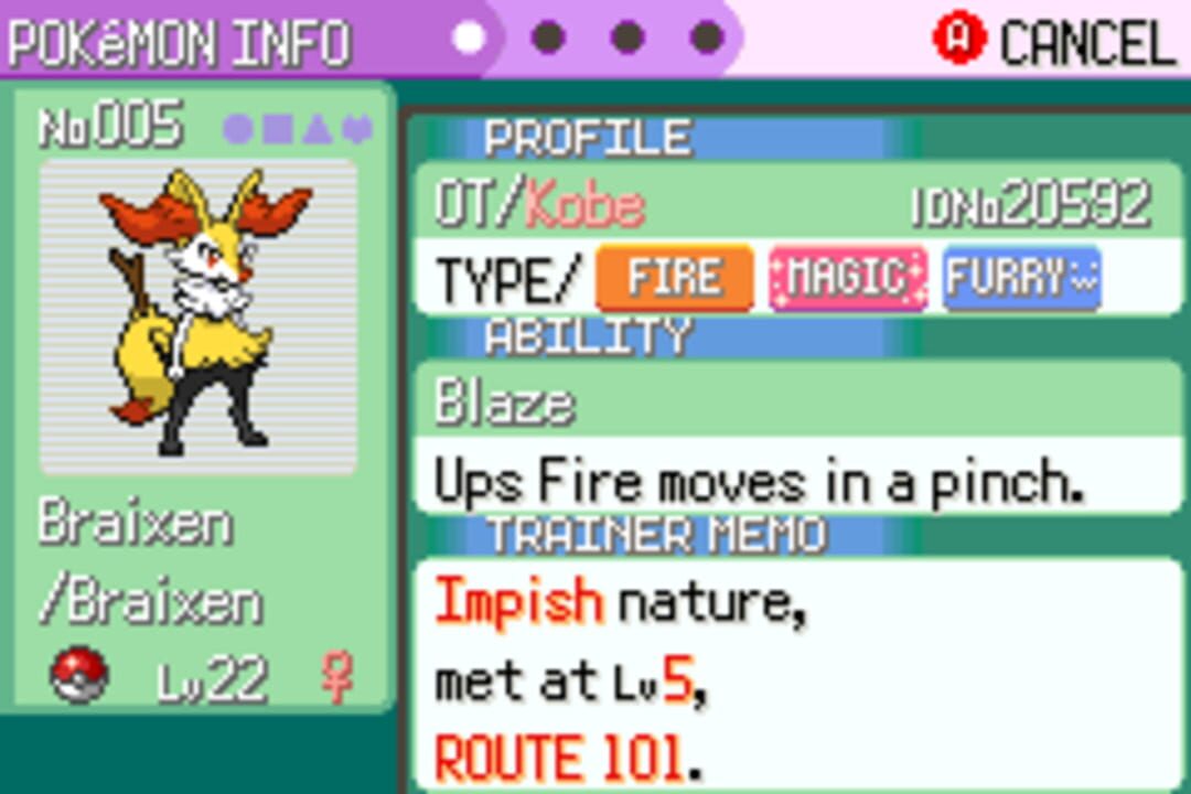 Pokémon: Too Many Types