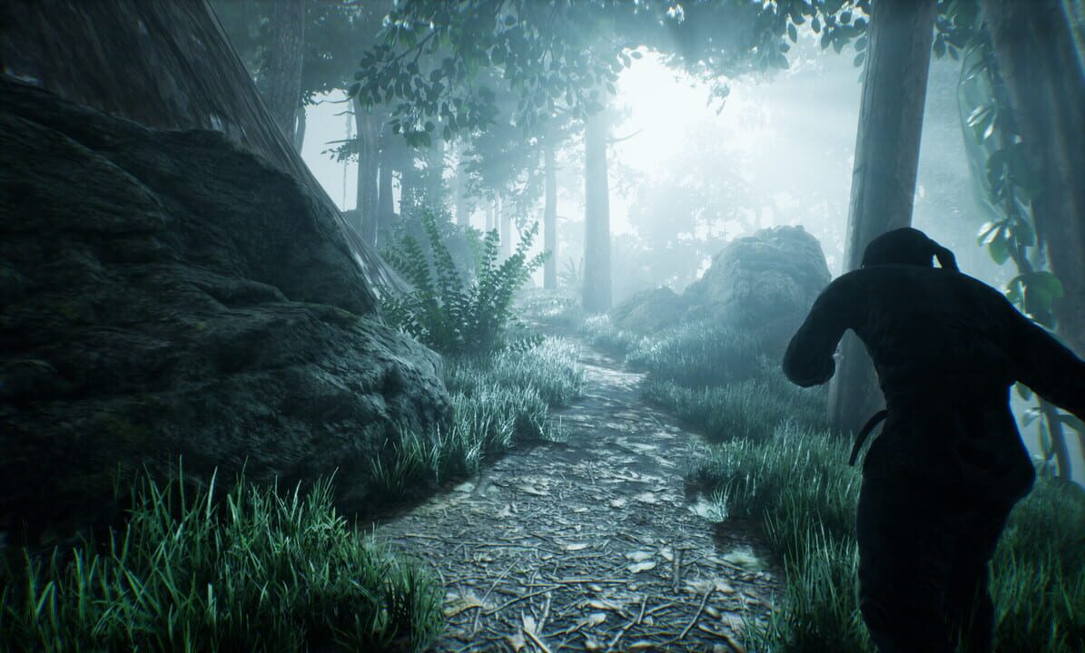 Ninja: The Lost Legacy