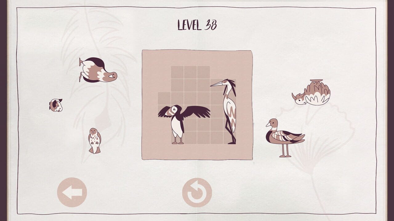 Birds Organized Neatly