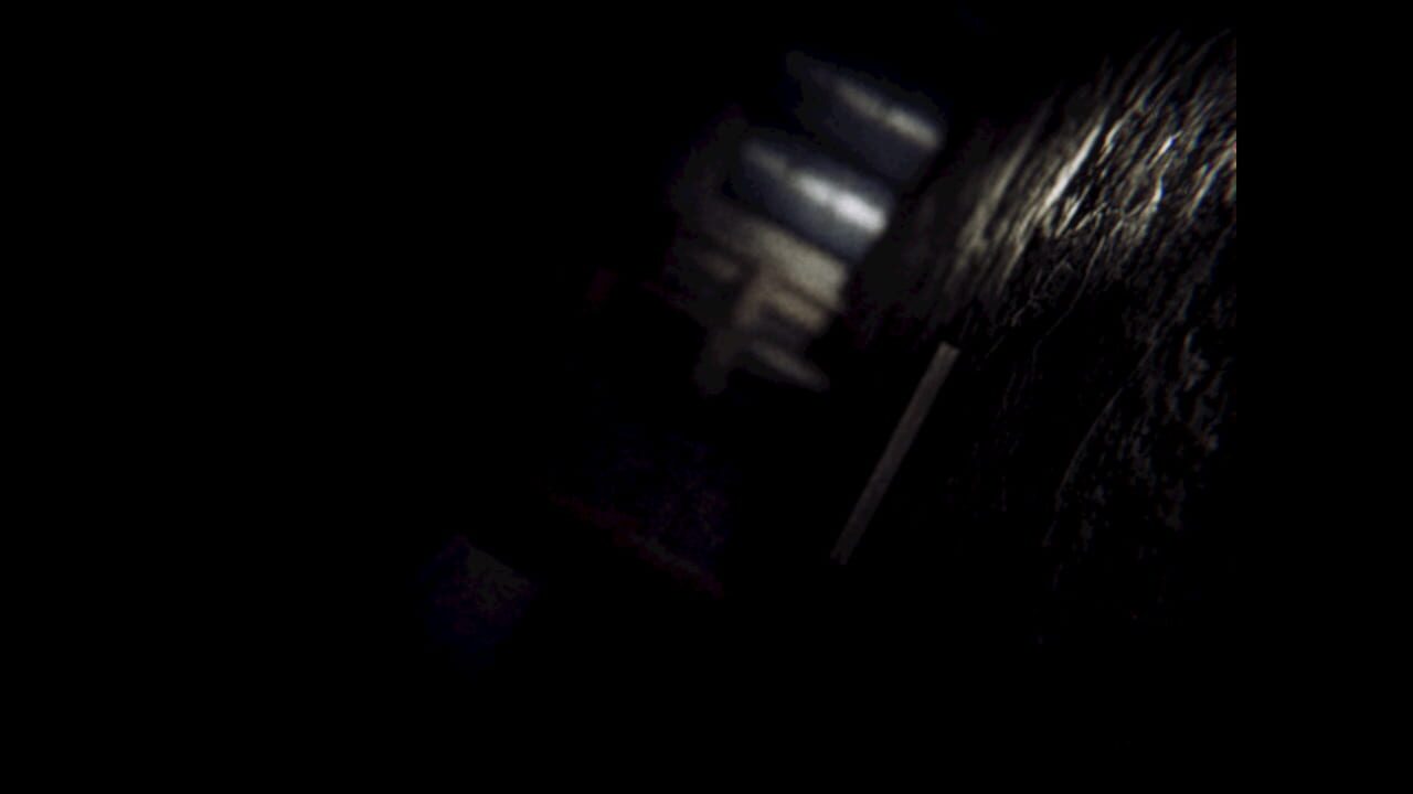 Fatal Midnight