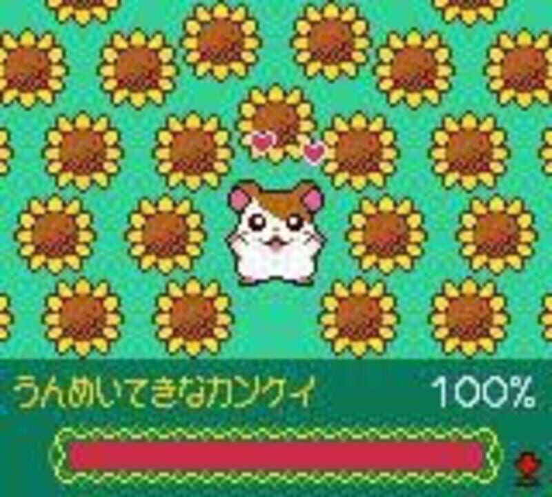 Tottoko Hamtaro: Tomodachi Daisakusen Dechu