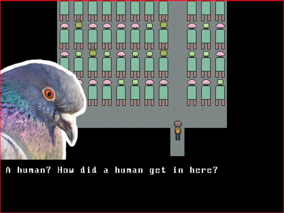 Birds of a Feather