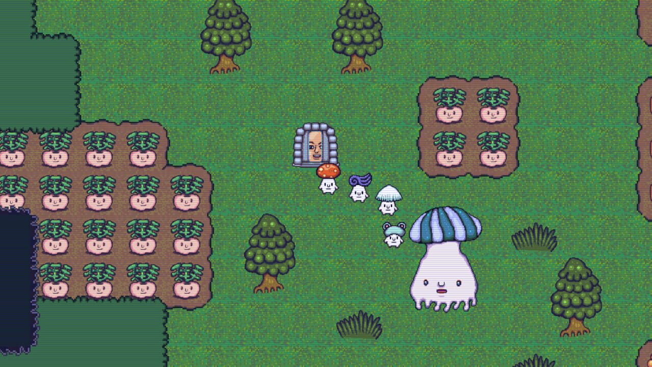 Mushroom Collection