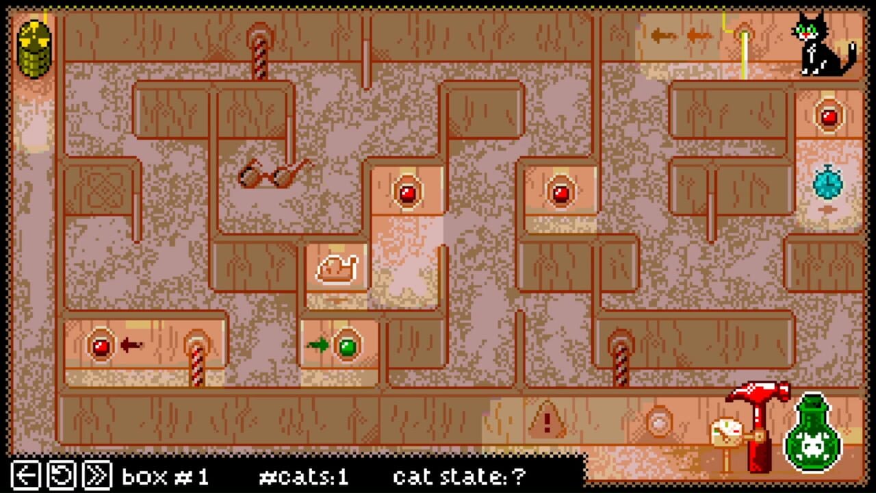 Schrodinger’s Cat Experiment