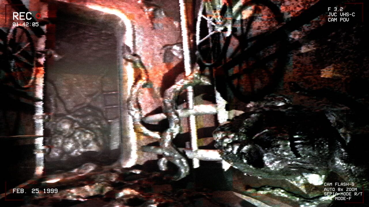 Reef Light Conundrum