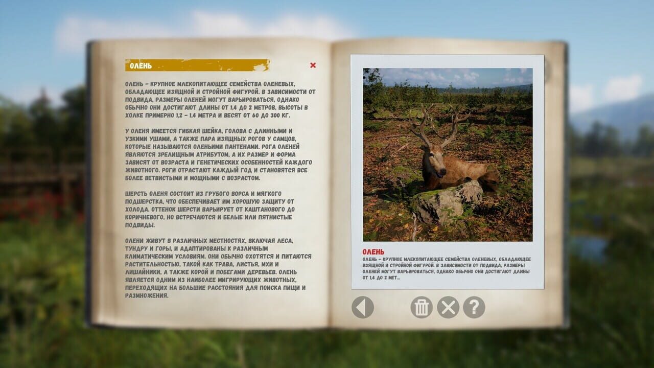 Russian Soul Simulator