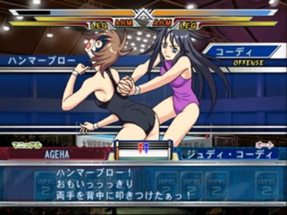 Wrestle Angels: Survivor 2