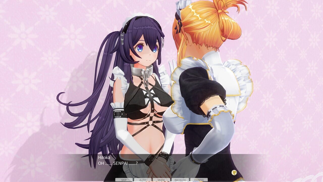 Custom Order Maid 3D2: Character EX Pack – Perverted Extreme Masochist