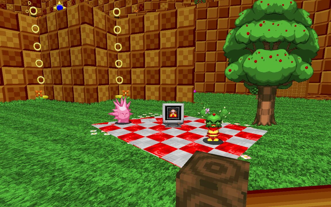 Sonic Robo Blast 2: Cacee “Kiwi” Cactus