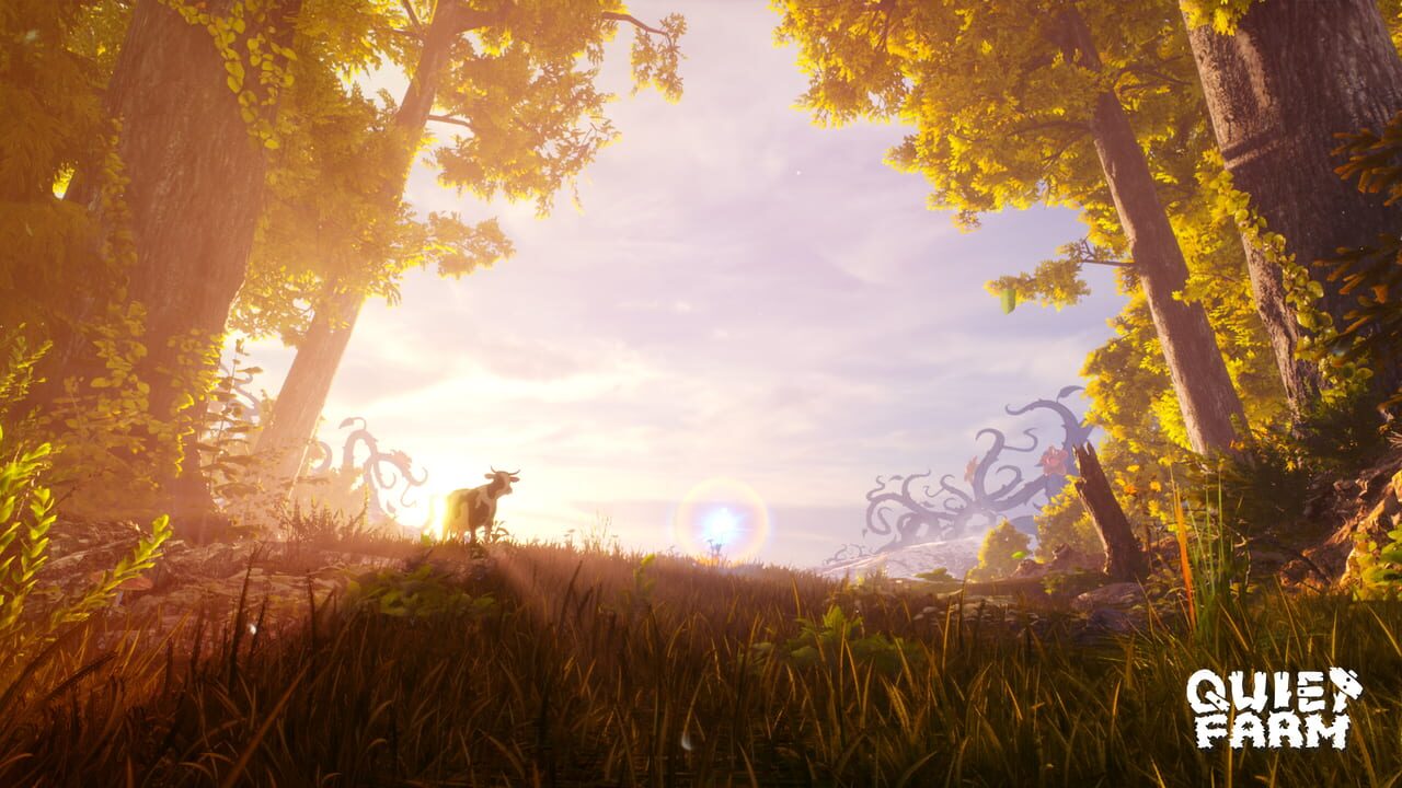 Quiet Farm