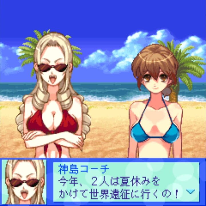 Beach Volleyball Girl Shizuku 2: Hishou-Hen