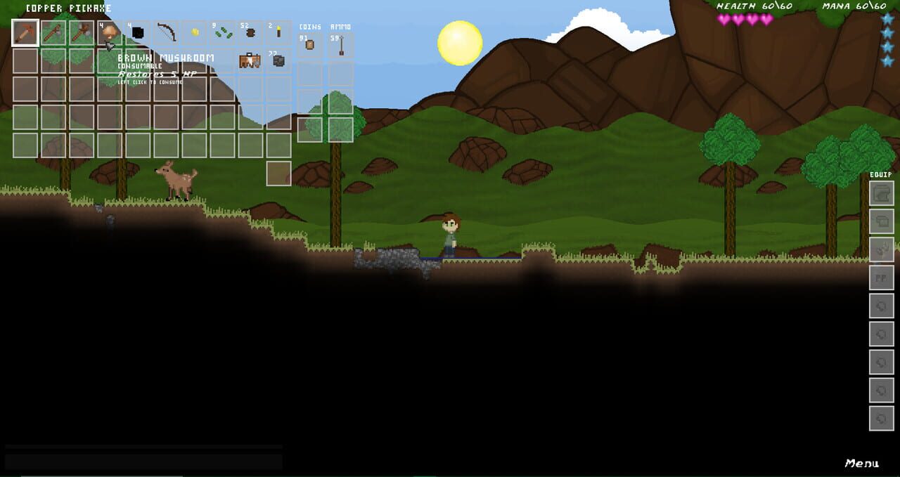 Platformer